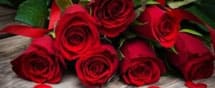 Rote Rosen